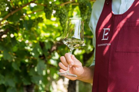 South Tyrolean wines – Winery in Meran, South Tyrol