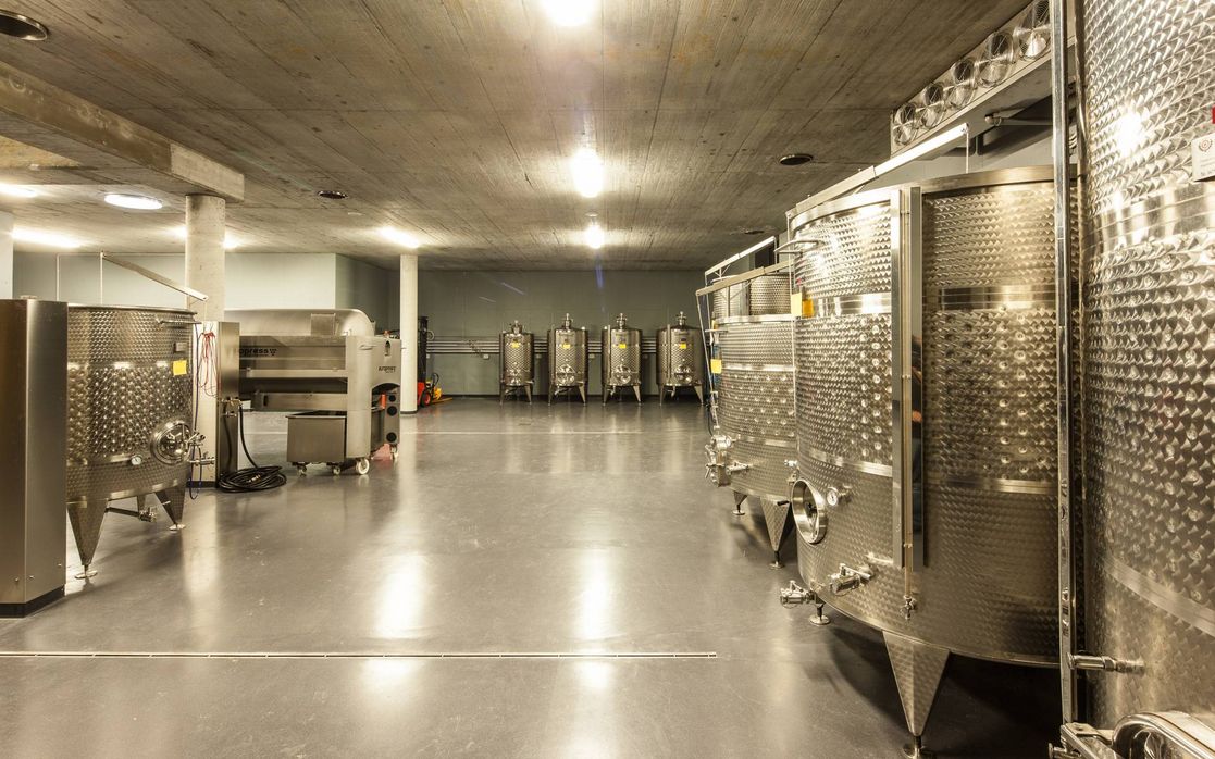 Barrique wine & steel vat wine production, Meran winery
