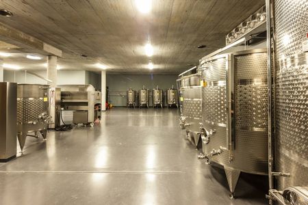 Vini altoatesini: cantina a Merano, Alto Adige 