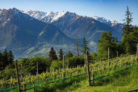 Weingut Eichenstein in Südtirol, Weinkellerei Meran