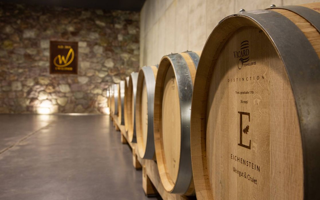 Barrique wine & steel vat wine production, Meran winery