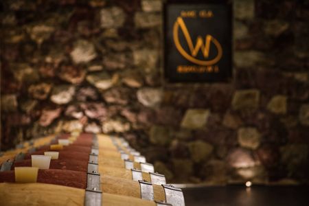 Vini altoatesini: cantina a Merano, Alto Adige 