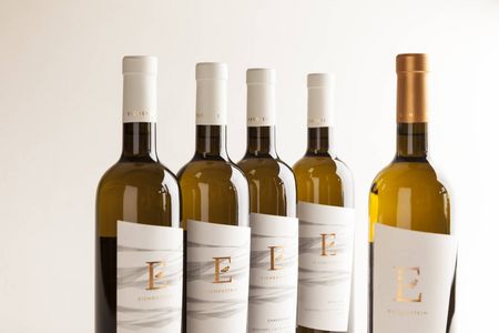 Vini altoatesini: cantina a Merano, Alto Adige 