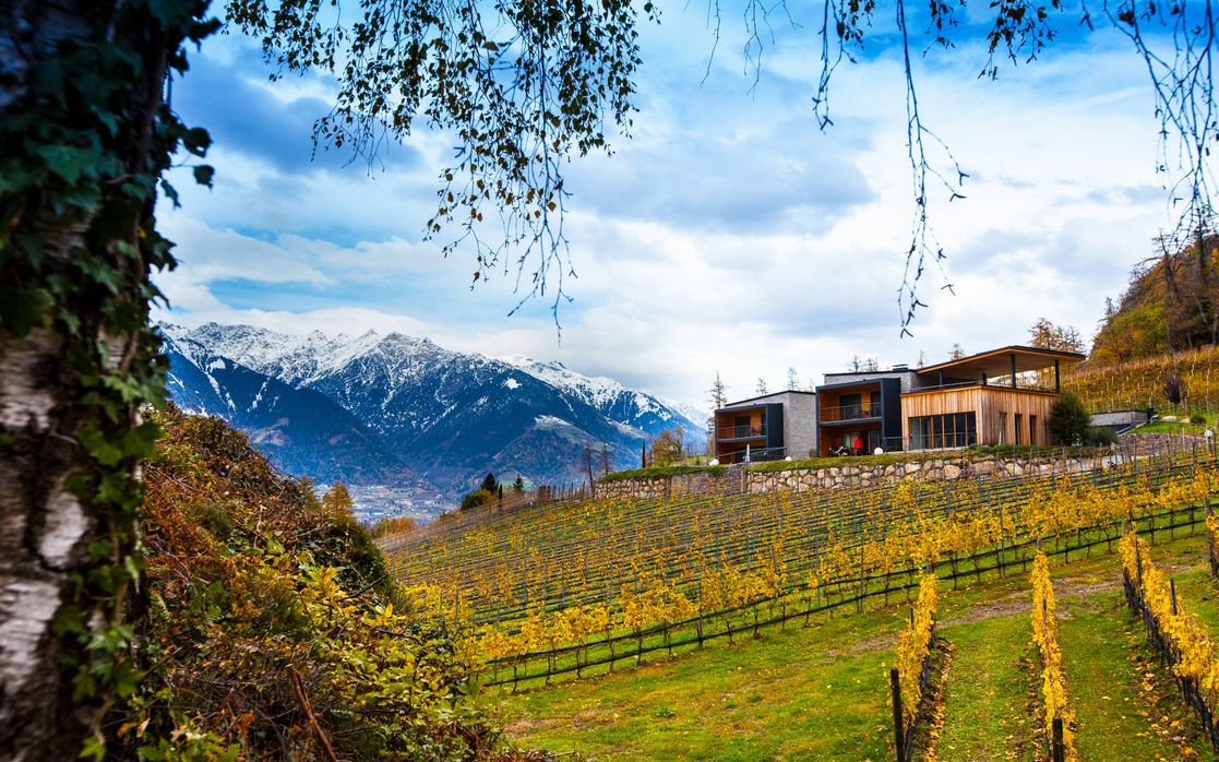Terroir des Weingut Eichenstein in Meran - Südtirol