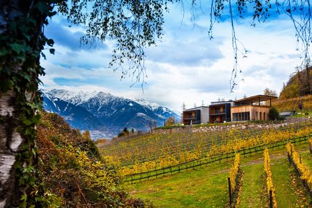 Vini altoatesini: cantina a Merano, Alto Adige 