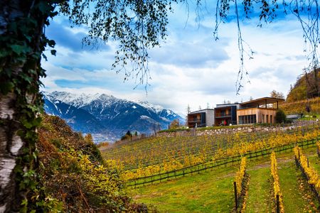 South Tyrolean wines – Winery in Meran, South Tyrol