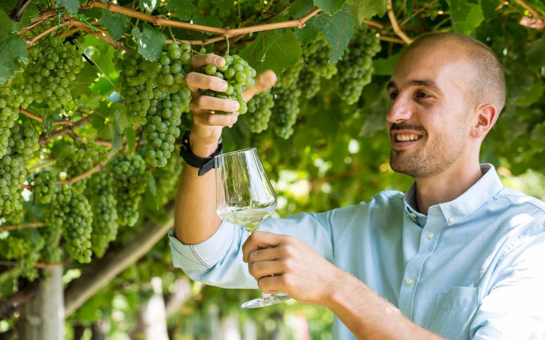 Geradlinige Weinstilistik - trockener Wein aus Südtirol