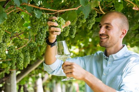 Weingut Eichenstein in Südtirol, Weinkellerei Meran